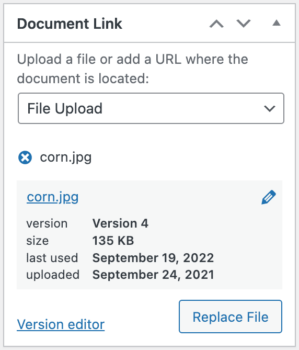Document version control delete previous