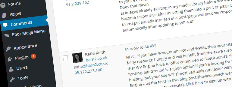 How to collect ip addresses from WordPress comments