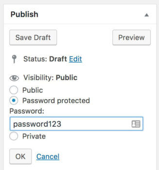 Password protect portfolio in WordPress
