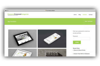 WordPress private portfolio plugin