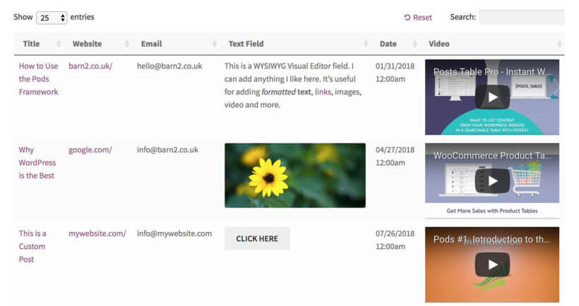 Display WordPress custom fields on website