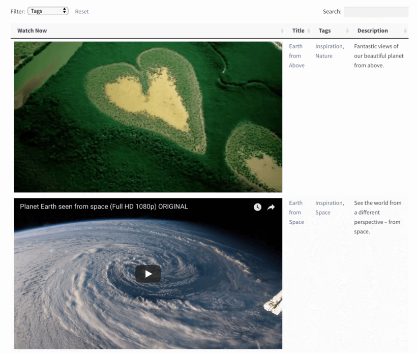 WordPress video gallery individual video.