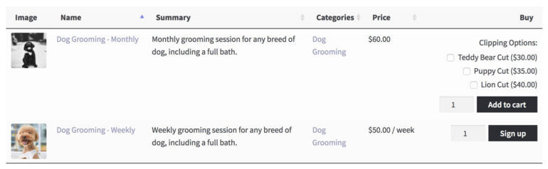 Selling WooCommerce services with Product Add-Ons plugin