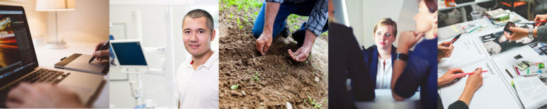 Service professions needing WordPress plugin to sell online