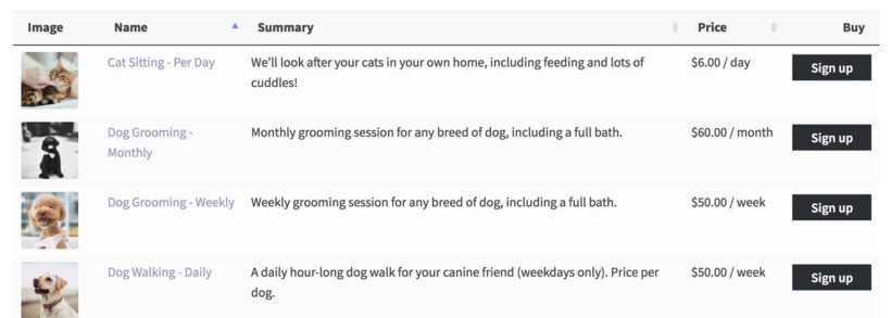 Selling WooCommerce services subscription products