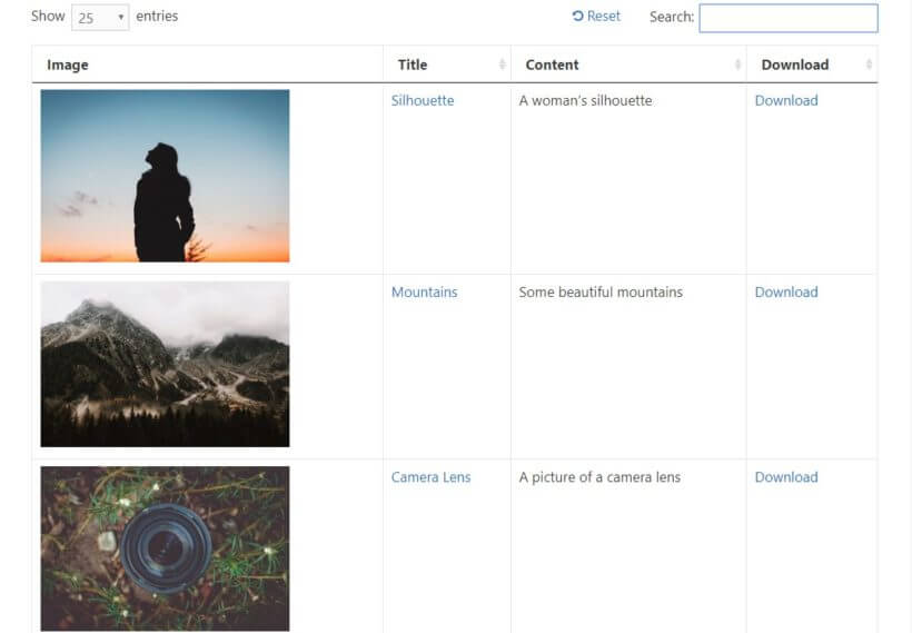 example of front end media library for images