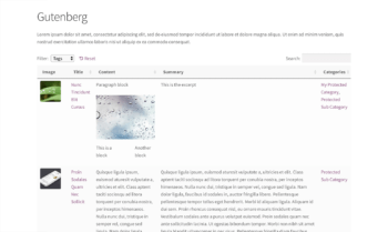 Shortcodes enabled Gutenberg