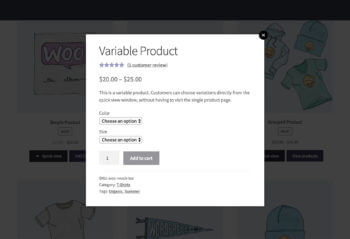 3 WooCommerce Quick View layout options: Image only, Product Details only, or both