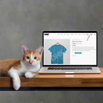 WeGlot WordPress Translation Plugin