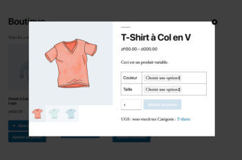 WooCommerce Quick View Plugin Multilingual Translation