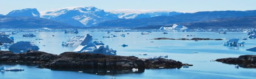 IARC document libraries using Post Table Pro