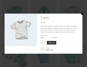 Quick view lightbox from the main shop page