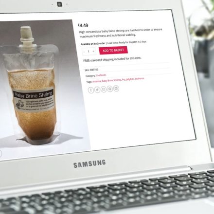 Feed Your Reef give lead times