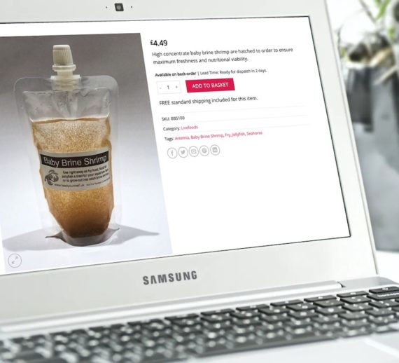 Feed Your Reef give lead times