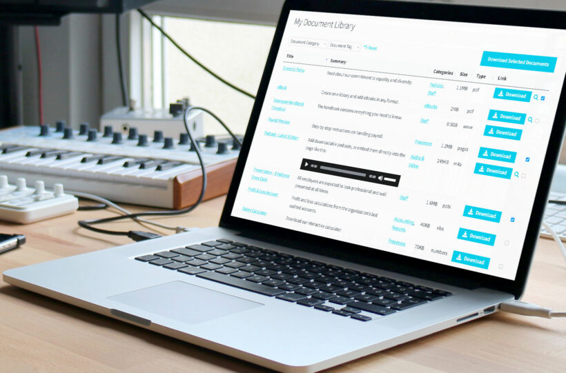 Document preview and multiple file download plugin