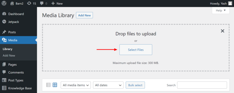 select audio files wordpress