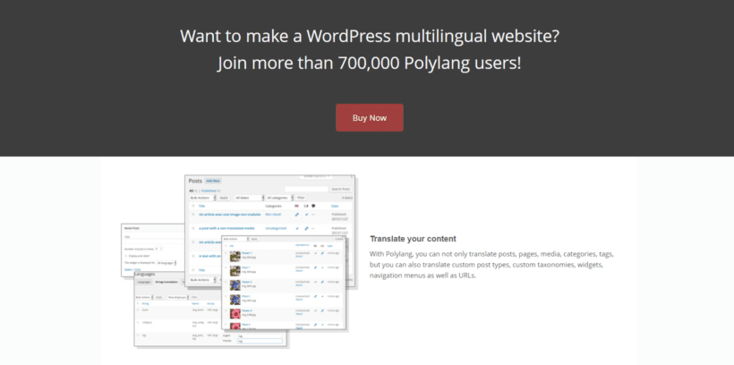 Polylang – WordPress translation plugin