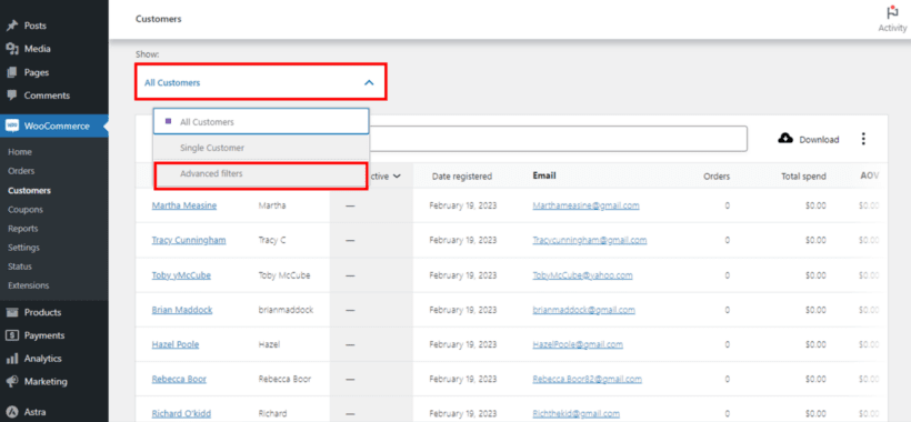 WooCommerce reports - audience information advanced filters