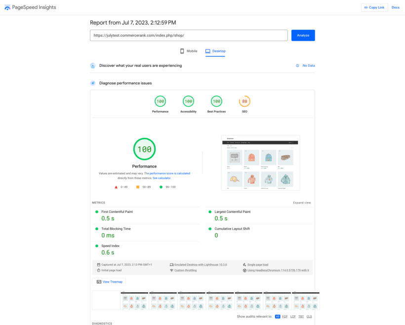 Shoptimizer Google pagespeed insights score
