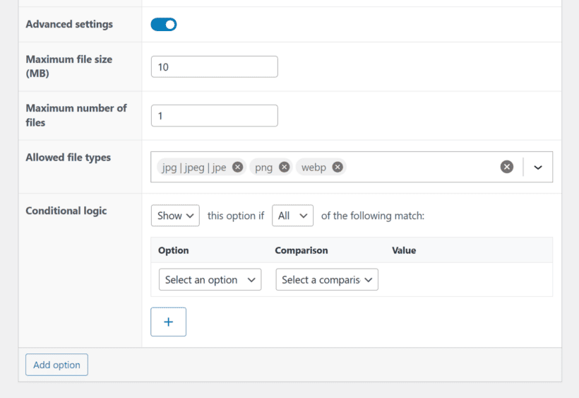 set maximum upload file size and file types in WooCommerce Product Options settings
