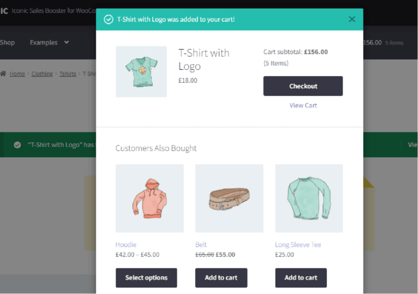plugin to customize woocommerce product page - Iconic Sales Booster 2