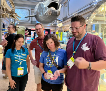 No James Kemp at WCUS 4