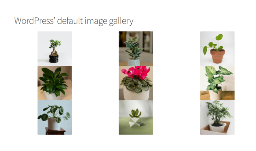 Default WordPress Image Gallery Front End View
