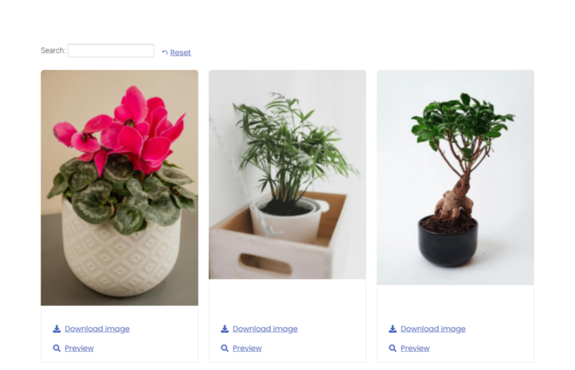 gallery wordpress shortcode - Document Library Pro 6