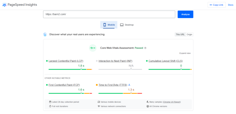 Google PageSpeed Insights results