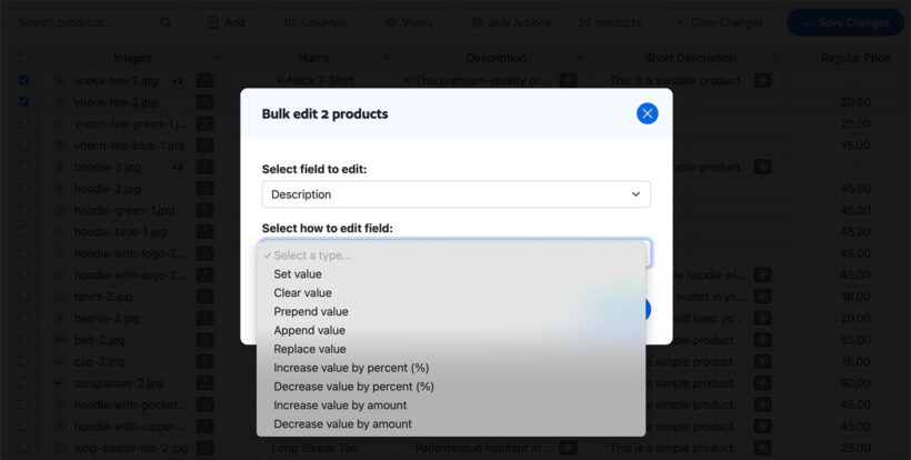 Setary bulk edit product description options