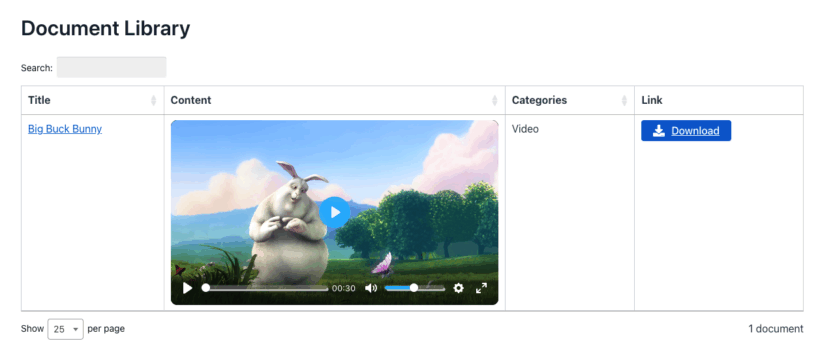 HTML5 video player plugin