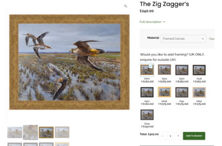 How Andrew Ellis Art uses product options to show canvas frame selection